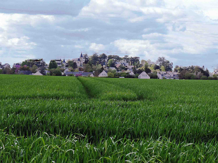 Vue d'ensemble du village - Le Coudray-Macouard