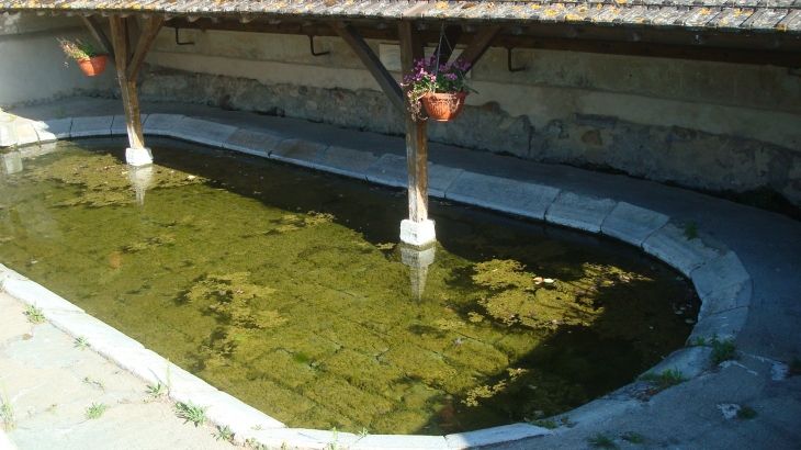 Lavoir...haut lieu de tous les savoirs  - Louerre