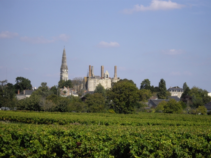 Le Chateau de Martigné Briand 2 - Martigné-Briand