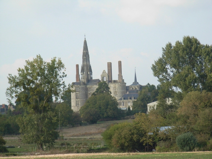 Chateau de Martigné Briand 3 - Martigné-Briand