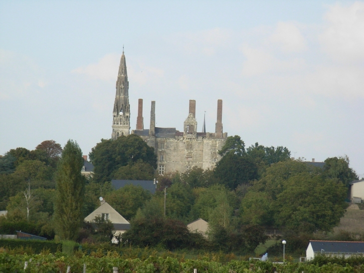 Chateau de Martigné Briand 5 - Martigné-Briand