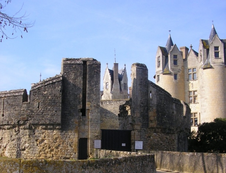 Château - Montreuil-Bellay