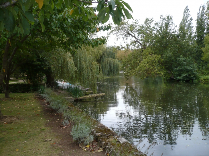 Sur les rives du Thouet - Montreuil-Bellay