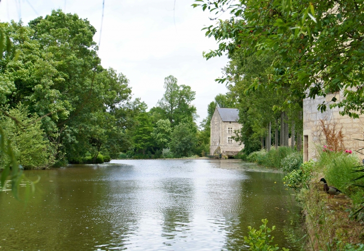 Le Thouet. - Montreuil-Bellay