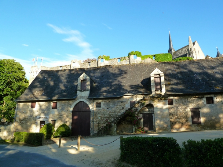 Chais du XVe siècle. - Montreuil-Bellay
