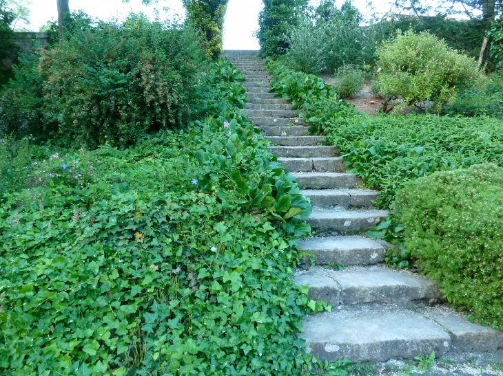 Escalier descendant vers le Thouet. - Montreuil-Bellay