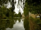 Photo suivante de Montreuil-Bellay Sur les rives du Thouet