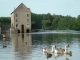 Photo suivante de Montreuil-sur-Maine Les oies du Moulin