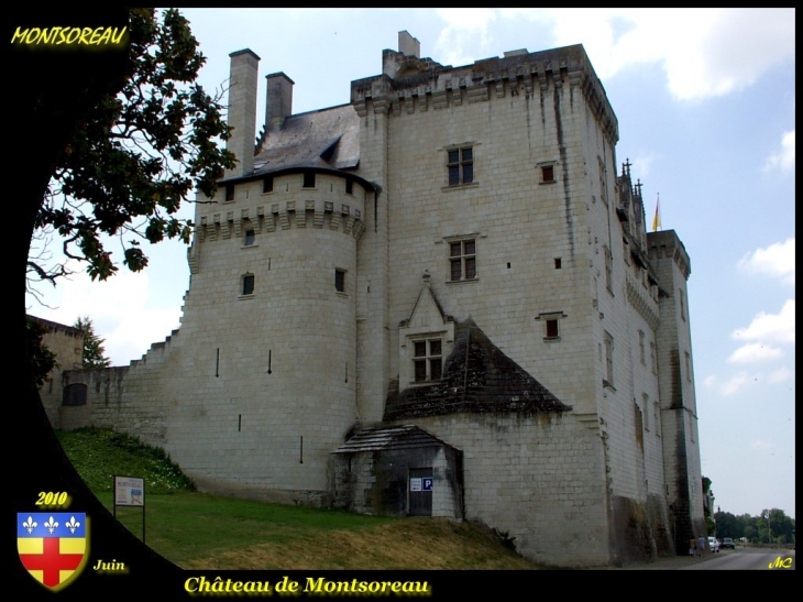 Le chateau - Montsoreau