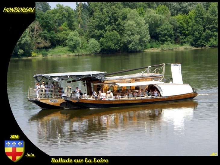 Ballade sur La Loire - Montsoreau