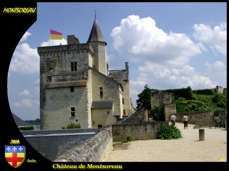 Le chateau - Montsoreau