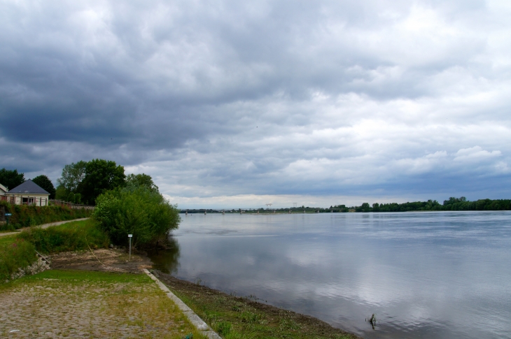 La Loire. - Montsoreau