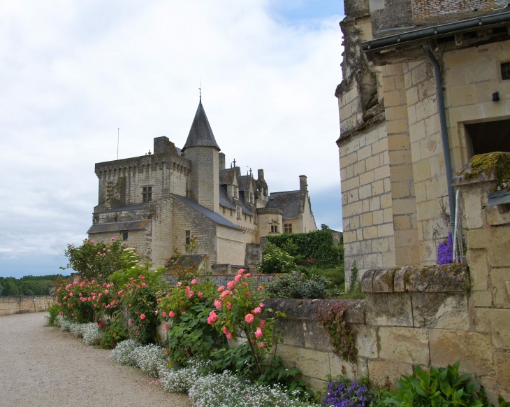 Le château. - Montsoreau