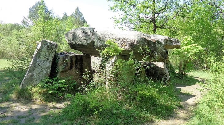 Dolmen de la Pierre Couverte (néolithique) - Pontigné