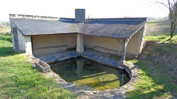 Lavoir de St Rémy - Saint-Rémy-la-Varenne