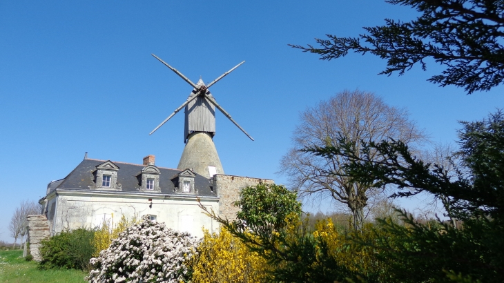 Moulin cavier du Bourgdion - Saint-Rémy-la-Varenne