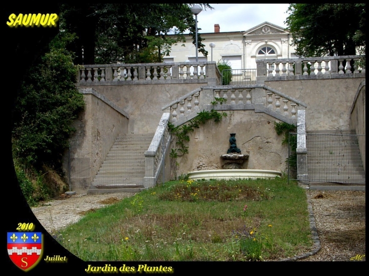 Jardin des plantes - Saumur