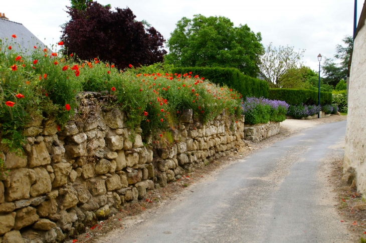 Une rue du village. - Souzay-Champigny