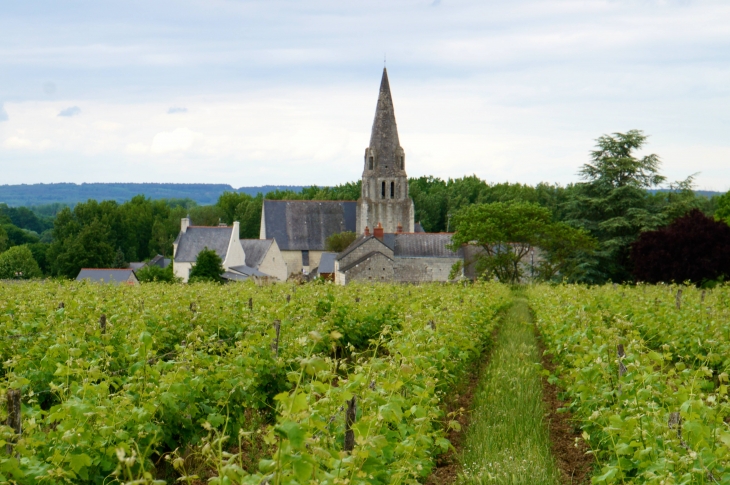 Vue sur le village de Souzay. - Souzay-Champigny