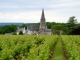 Vue sur le village de Souzay.