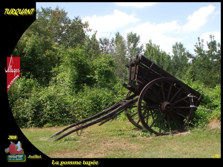 La pomme tapée - Turquant