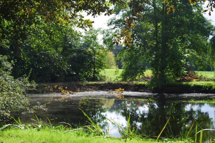 Piece d'eau - Beaulieu-sur-Oudon