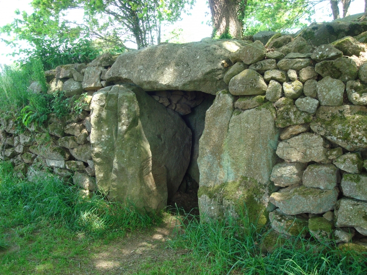 Sépulture mégalithique (néolithique) Le Petit-Vieux-Sou - Brecé