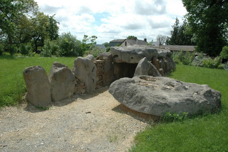 Allée couverte La hamelinière - Chantrigné