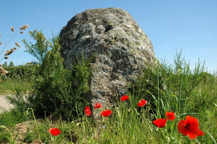 Menhir du grand coudray - Chantrigné