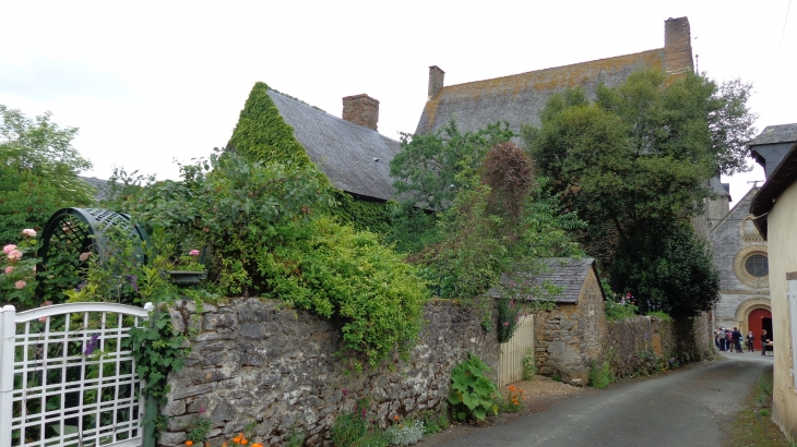 Petite rue du village - Chémeré-le-Roi