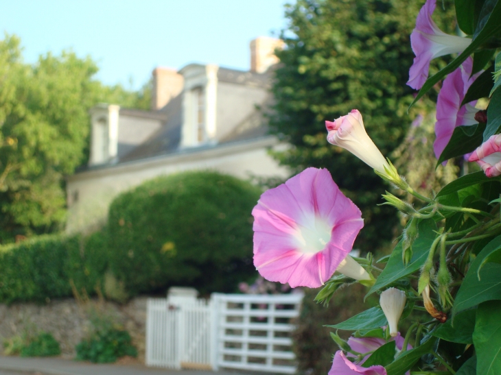 Coudray fleuri...