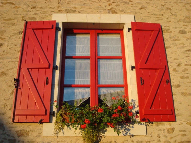 Fenêtre sur les fleurs ! - Coudray