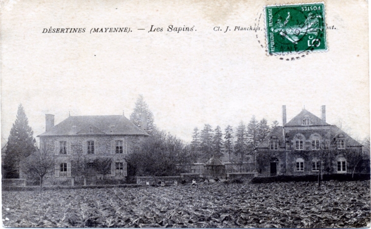 Les Sapins, vers 1912 (carte postale ancienne). - Désertines