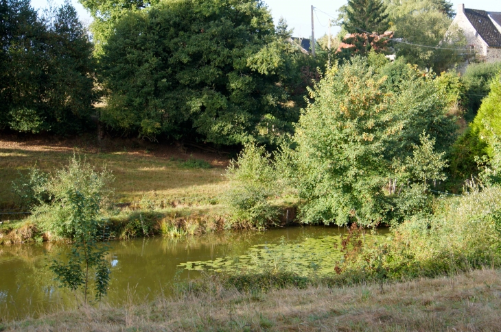 Petite pièce d'eau près de la chapelle Notre Dame de la Vallée. - La Haie-Traversaine