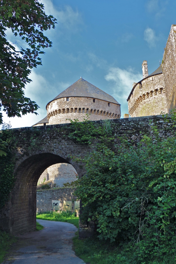 Le château - Lassay-les-Châteaux