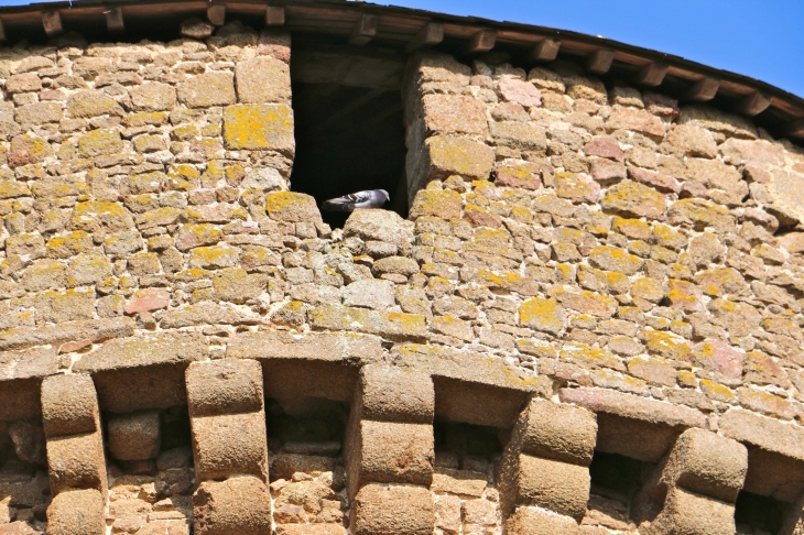 Le château - Lassay-les-Châteaux