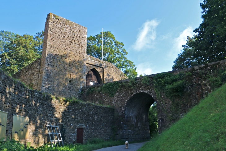 Le château - Lassay-les-Châteaux