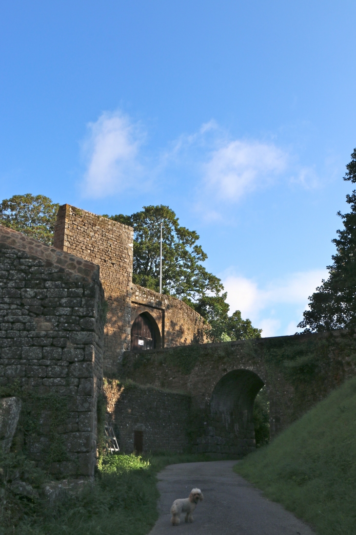 Le château - Lassay-les-Châteaux