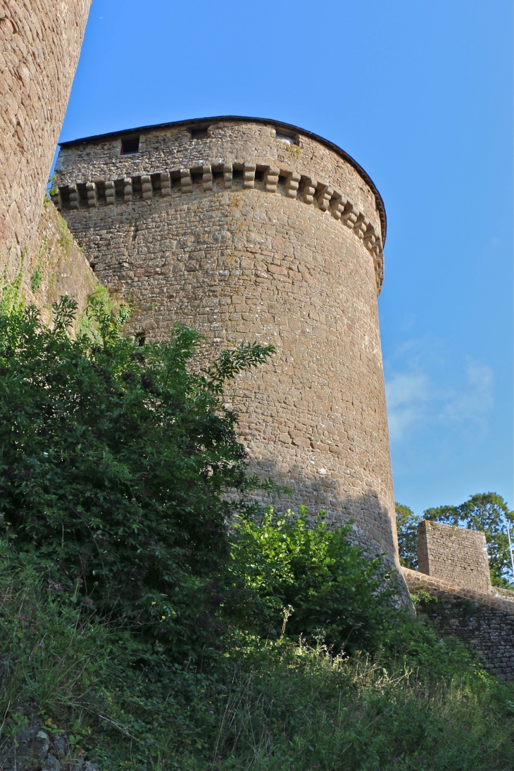 Le château - Lassay-les-Châteaux