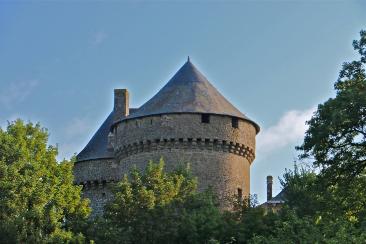 Le château - Lassay-les-Châteaux