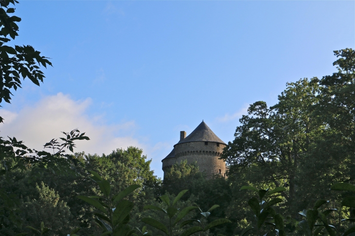 Le château - Lassay-les-Châteaux