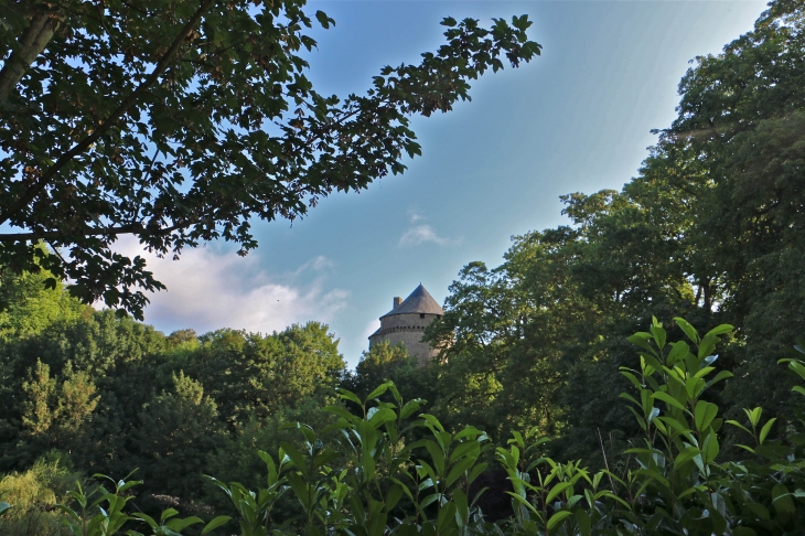 Le château - Lassay-les-Châteaux