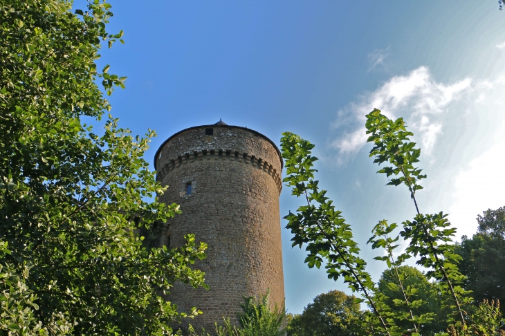 Le château - Lassay-les-Châteaux