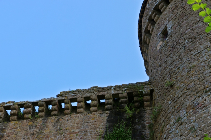 Le château - Lassay-les-Châteaux