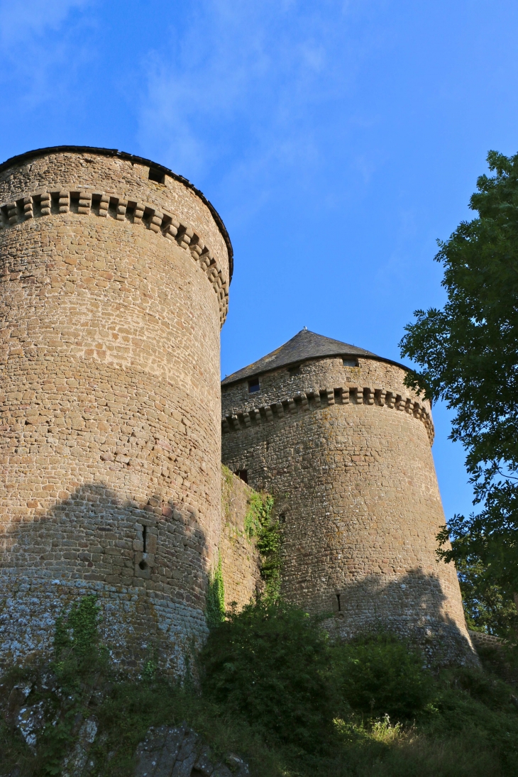 Le château - Lassay-les-Châteaux