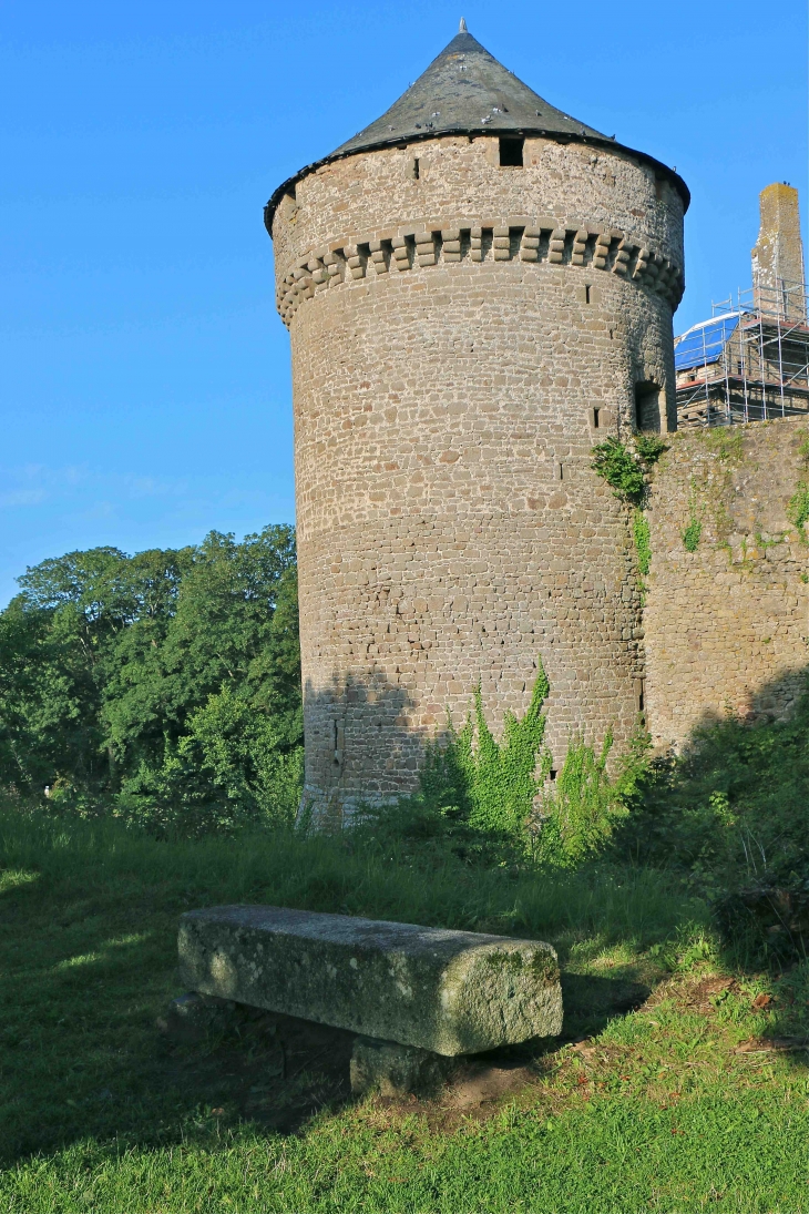 Le château - Lassay-les-Châteaux