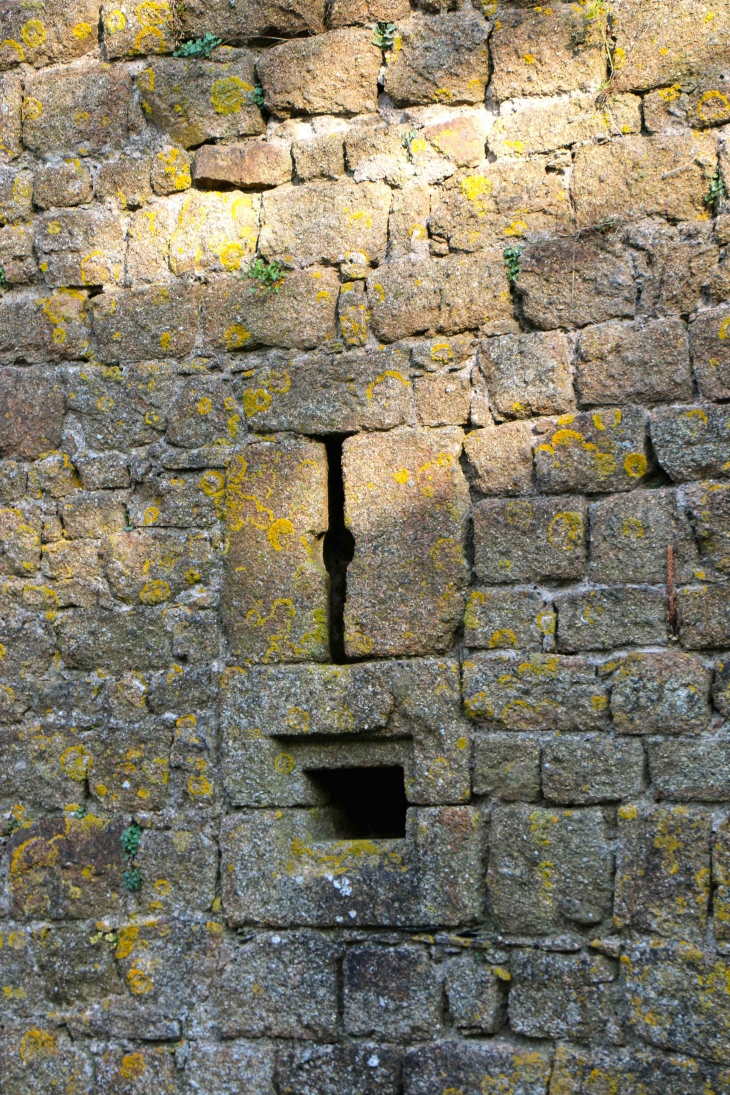 Le château - Lassay-les-Châteaux