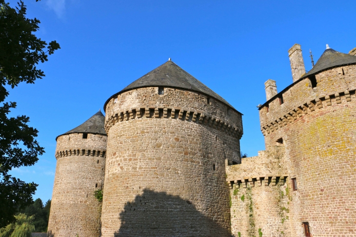 Le château - Lassay-les-Châteaux