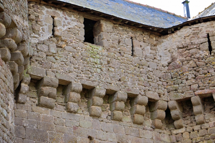 Le château - Lassay-les-Châteaux