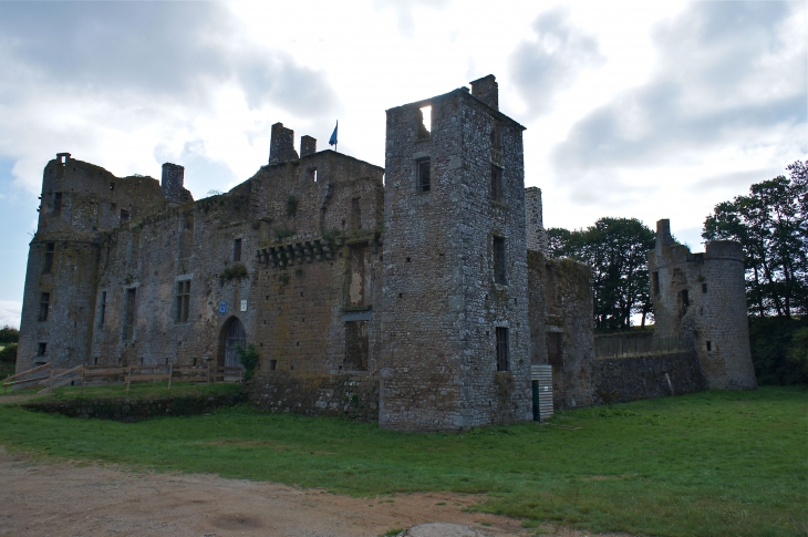 Château du Bois Thibaut - Lassay-les-Châteaux